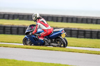 PJ-Motorsport-2019;anglesey-no-limits-trackday;anglesey-photographs;anglesey-trackday-photographs;enduro-digital-images;event-digital-images;eventdigitalimages;no-limits-trackdays;peter-wileman-photography;racing-digital-images;trac-mon;trackday-digital-images;trackday-photos;ty-croes